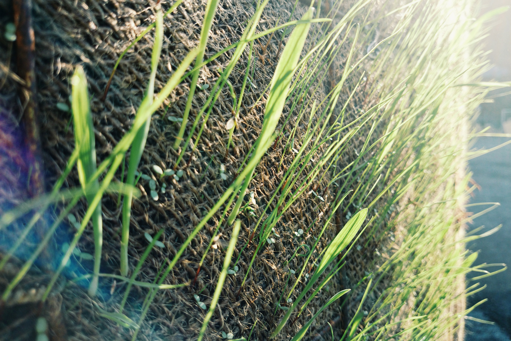 2014-08-30-04.35.26-1-WEB