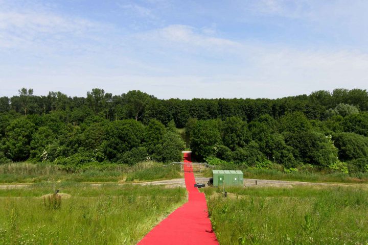 27585876096_1cbd663443_o