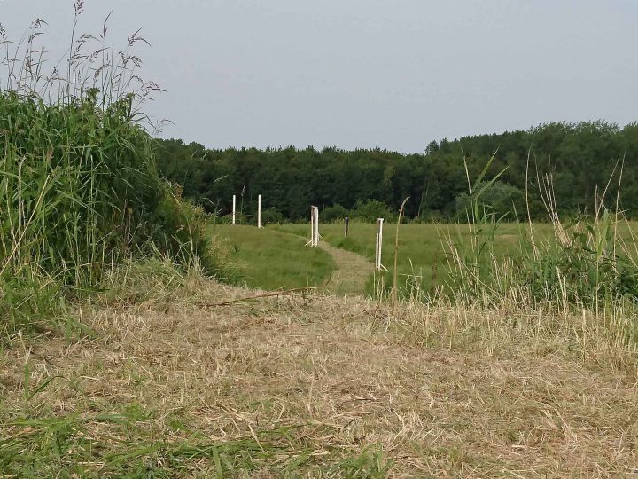 27585957436_c6d12a2a2e_o